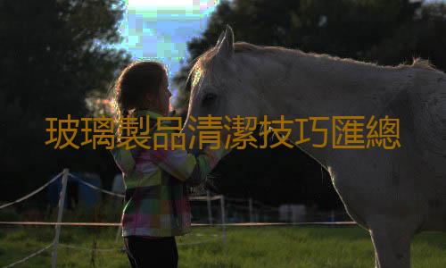 玻璃製品清潔技巧匯總