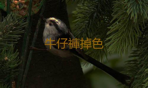 牛仔褲掉色