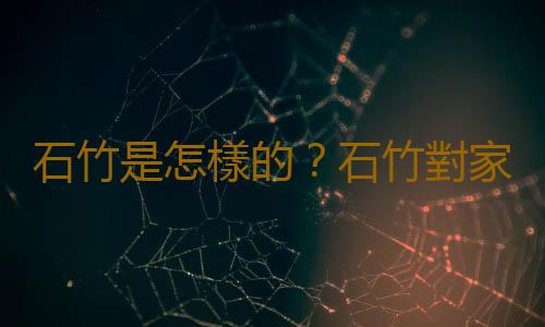 石竹是怎樣的？石竹對家居環境的影響