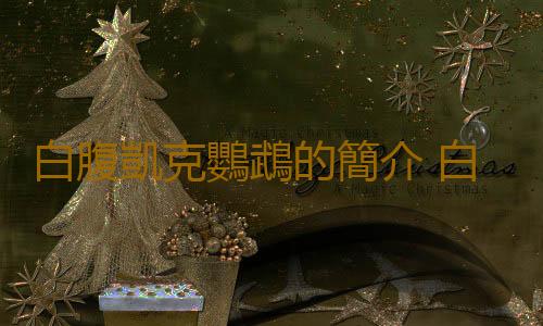 白腹凱克鸚鵡的簡介 白腹凱克鸚鵡的產地