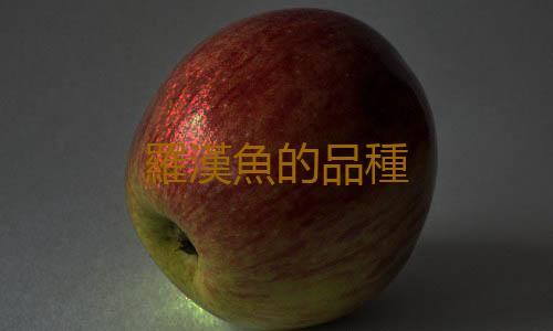 羅漢魚的品種