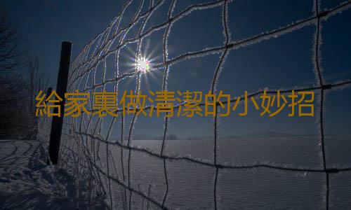 給家裏做清潔的小妙招