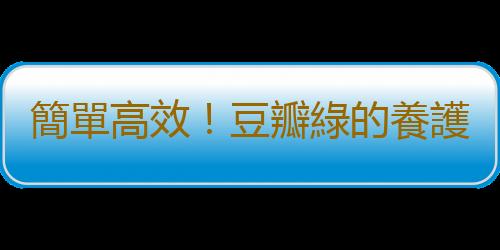 簡單高效！豆瓣綠的養護要點