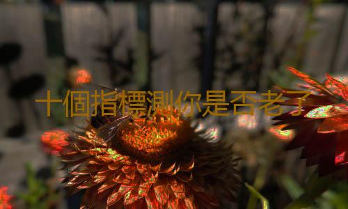 十個指標測你是否老了