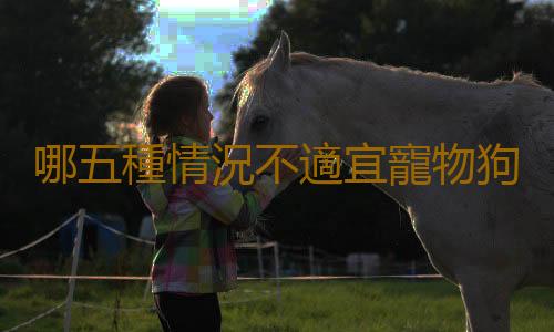 哪五種情況不適宜寵物狗剪毛