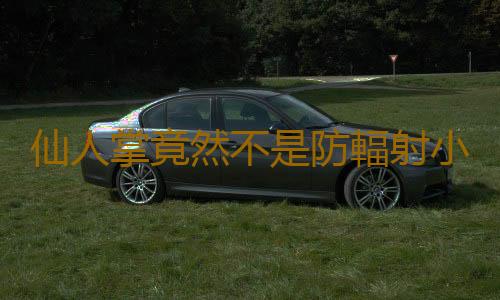 仙人掌竟然不是防輻射小衛士？