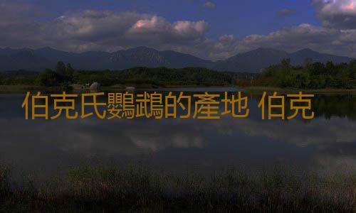 伯克氏鸚鵡的產地 伯克氏鸚鵡的簡介