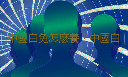 中國白兔怎麽養？中國白兔的簡介