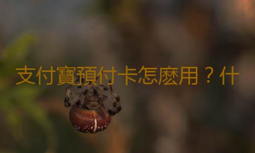 支付寶預付卡怎麽用？什麽是支付寶預付卡？