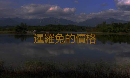 暹羅兔的價格