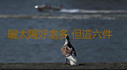 曬太陽好處多 但這六件事要注意
