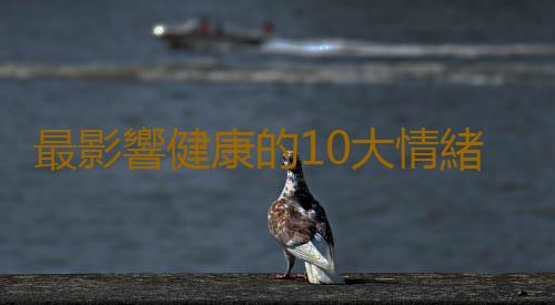 最影響健康的10大情緒