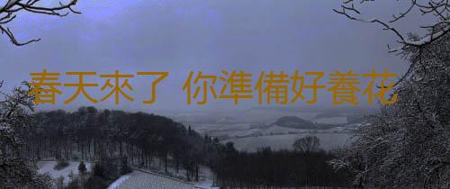 春天來了 你準備好養花了嗎？