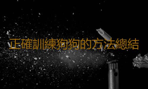 正確訓練狗狗的方法總結