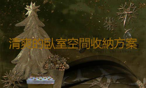 清爽的臥室空間收納方案