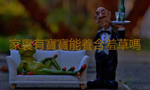 家裏有寶寶能養含羞草嗎？含羞草有毒嗎？