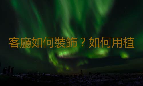 客廳如何裝飾？如何用植物來裝飾客廳