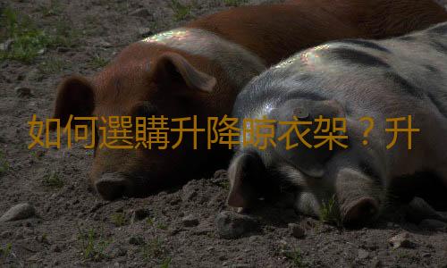 如何選購升降晾衣架？升降晾衣架是什麽