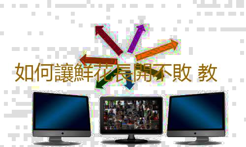 如何讓鮮花長開不敗 教你科學延長鮮花的保鮮期