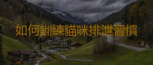 如何訓練貓咪排泄習慣