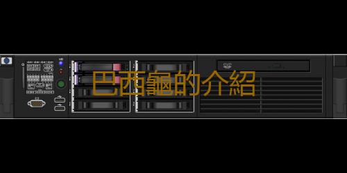 巴西龜的介紹