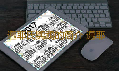 邁耶氏鸚鵡的簡介 邁耶氏鸚鵡的產地