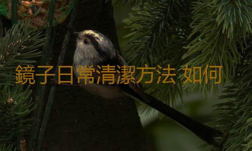 鏡子日常清潔方法 如何正確保養你的鏡子