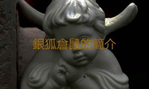 銀狐倉鼠的簡介