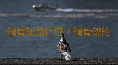 鋼骨架是什麽？鋼骨架的特點
