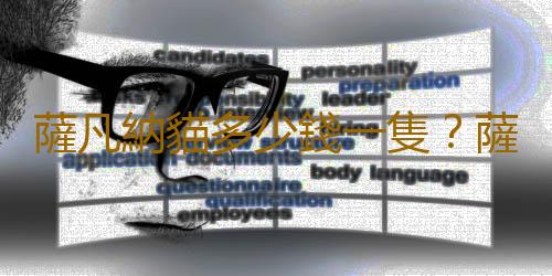 薩凡納貓多少錢一隻？薩凡納貓怎麽養？