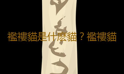襤褸貓是什麽貓？襤褸貓的生活習性