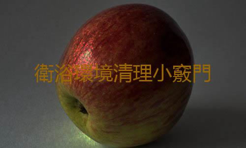 衛浴環境清理小竅門