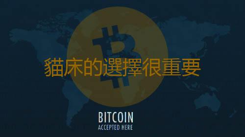 貓床的選擇很重要