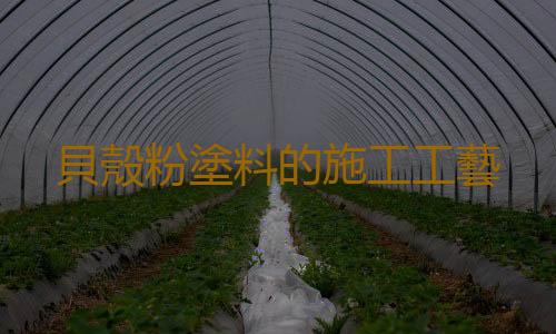 貝殼粉塗料的施工工藝