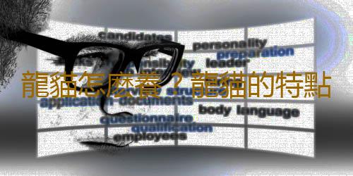 龍貓怎麽養？龍貓的特點