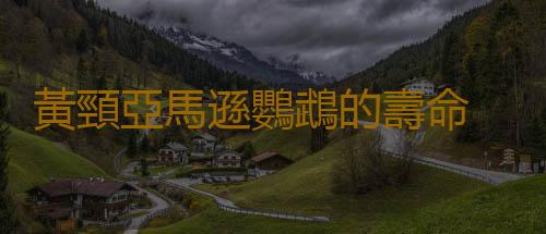 黃頸亞馬遜鸚鵡的壽命 黃頸亞馬遜鸚鵡的價格