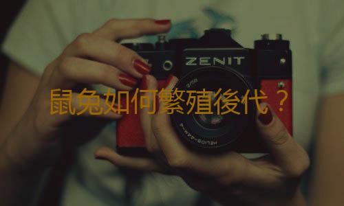 鼠兔如何繁殖後代？